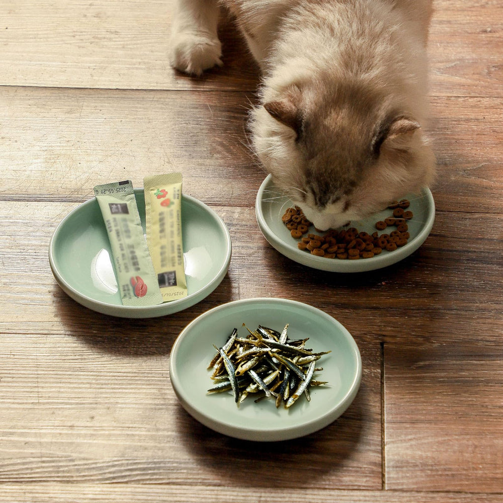 Howise cat bowls multi-use set ideal for meat, kibble, and water.