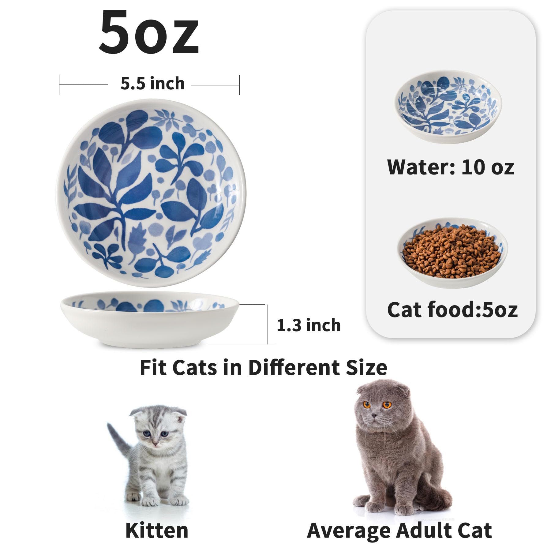 Howise cat bowls shallow design close-up whisker-friendly feeding