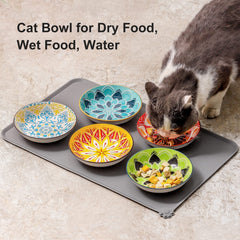 Howise cat bowls set up for water and meals in a compact feeding area.