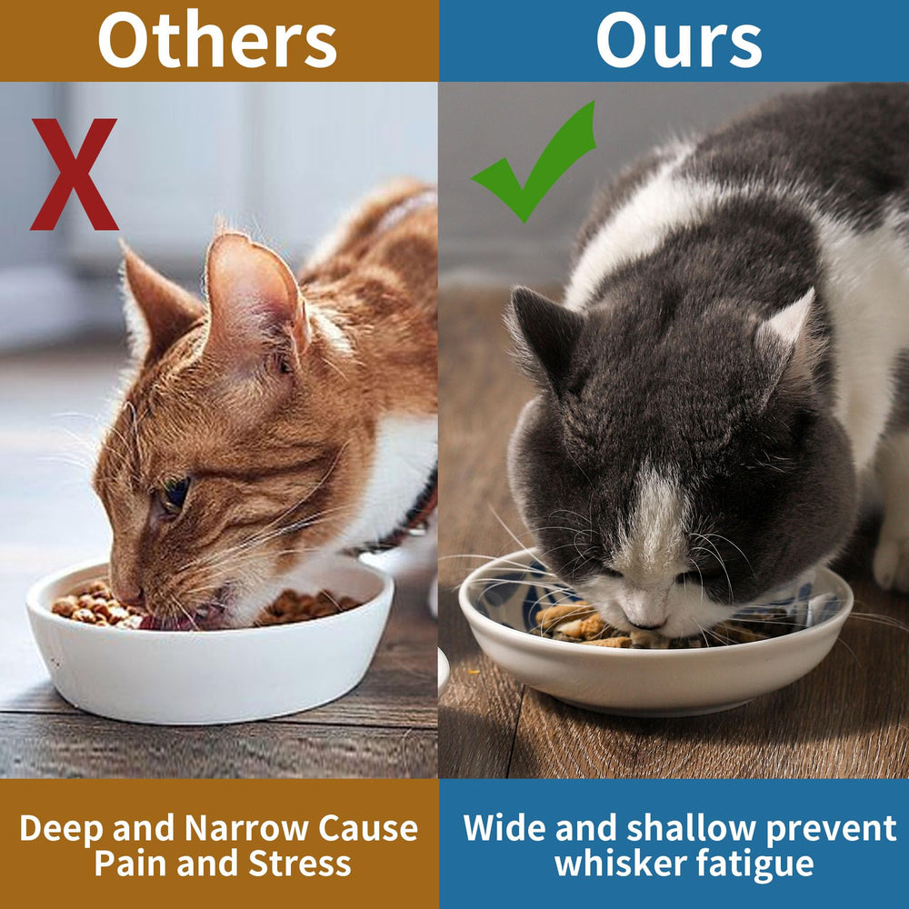 Howise colorful cat bowls set suits meat wet and dry food options