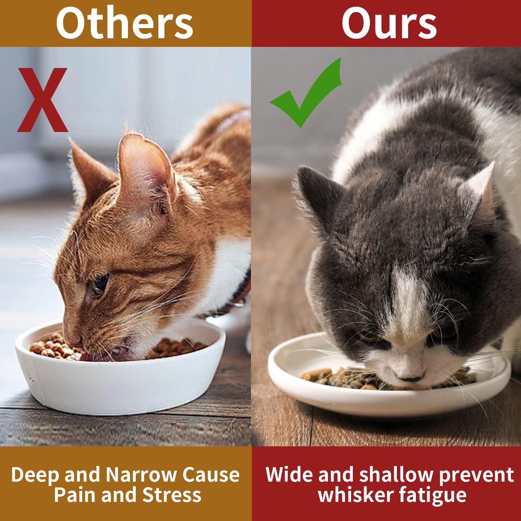 Howise whisker-relief bowls with non-slip glaze for calmer feeding.