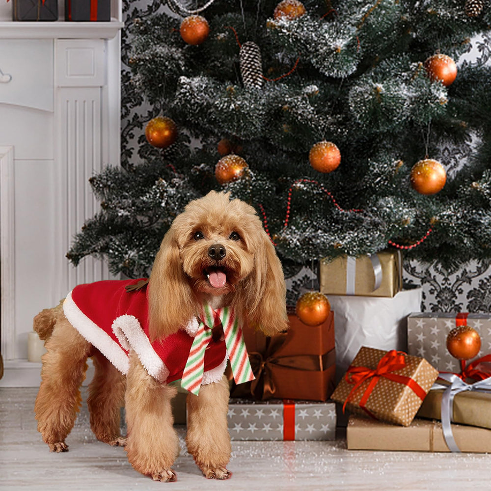 HOWWFALY breathable fleece fabric keeps your pet comfy on cold walks.