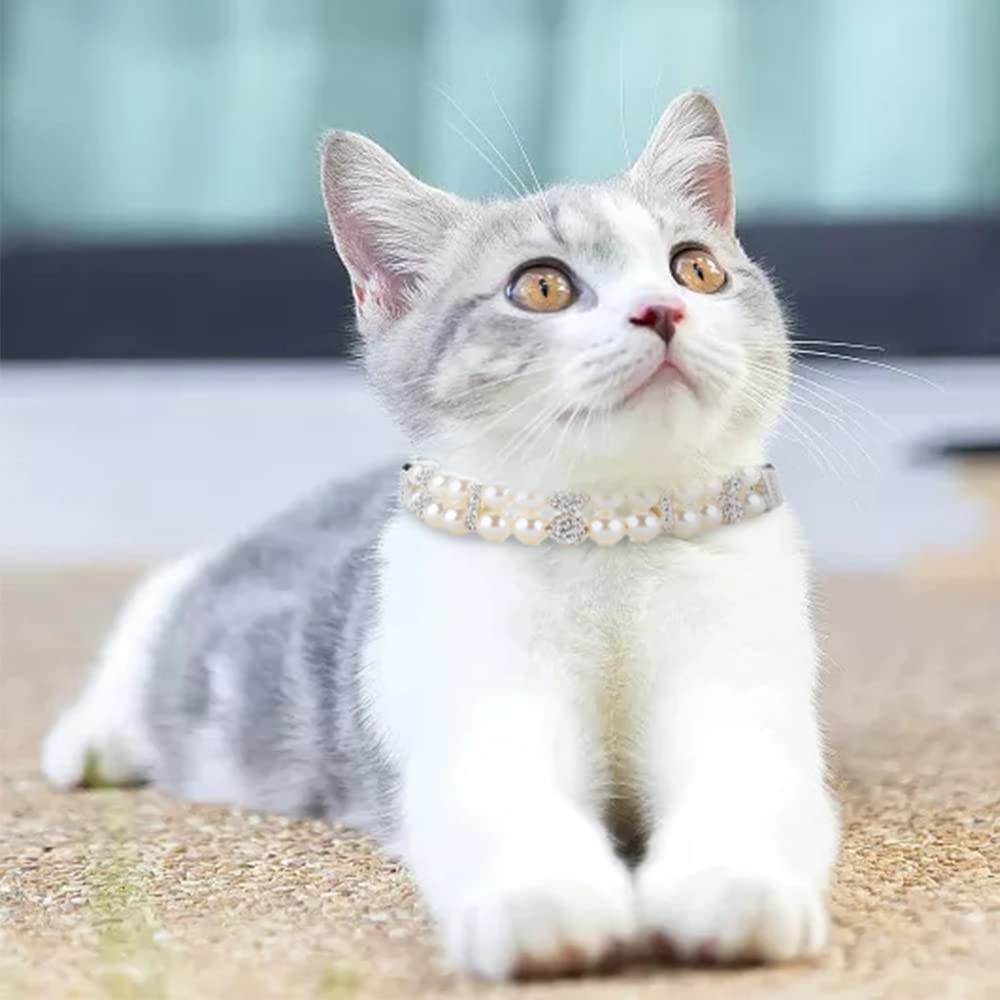HOWWFALY dog cat pearl collar wearer demonstrates stylish pet for everyday moments.