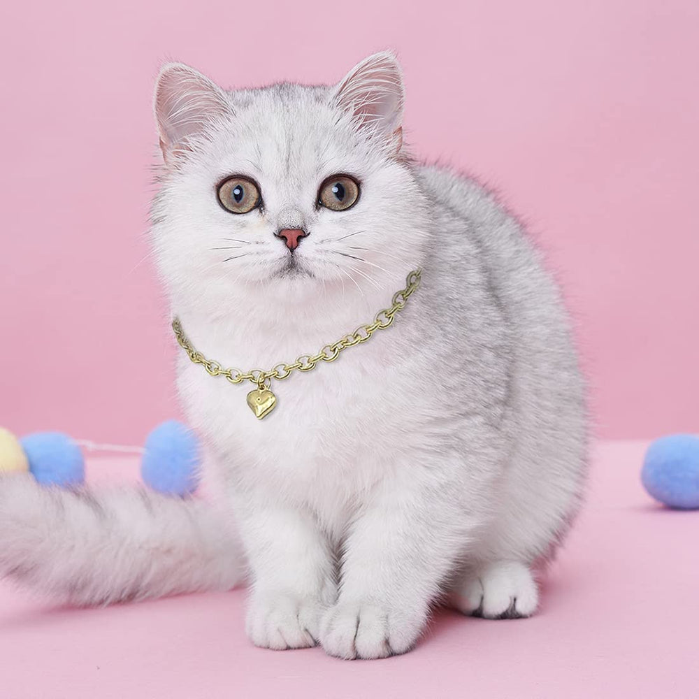 HOWWFALY pet accessory ensemble ready for birthdays or everyday adventures.