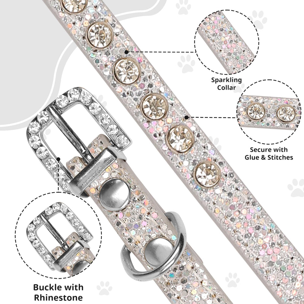 HOWWFALY pet bling collar medium silver on cat emphasizes elegant sparkle for special occasions