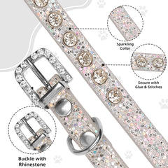 HOWWFALY pet bling collar medium silver on cat emphasizes elegant sparkle for special occasions