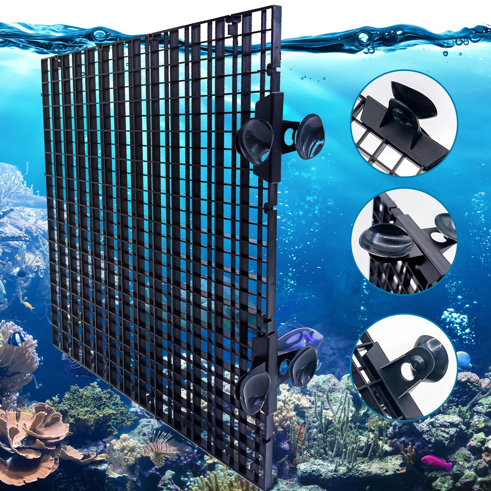 Hoypeyfiy flexible tank configuration boards enabling varied layouts