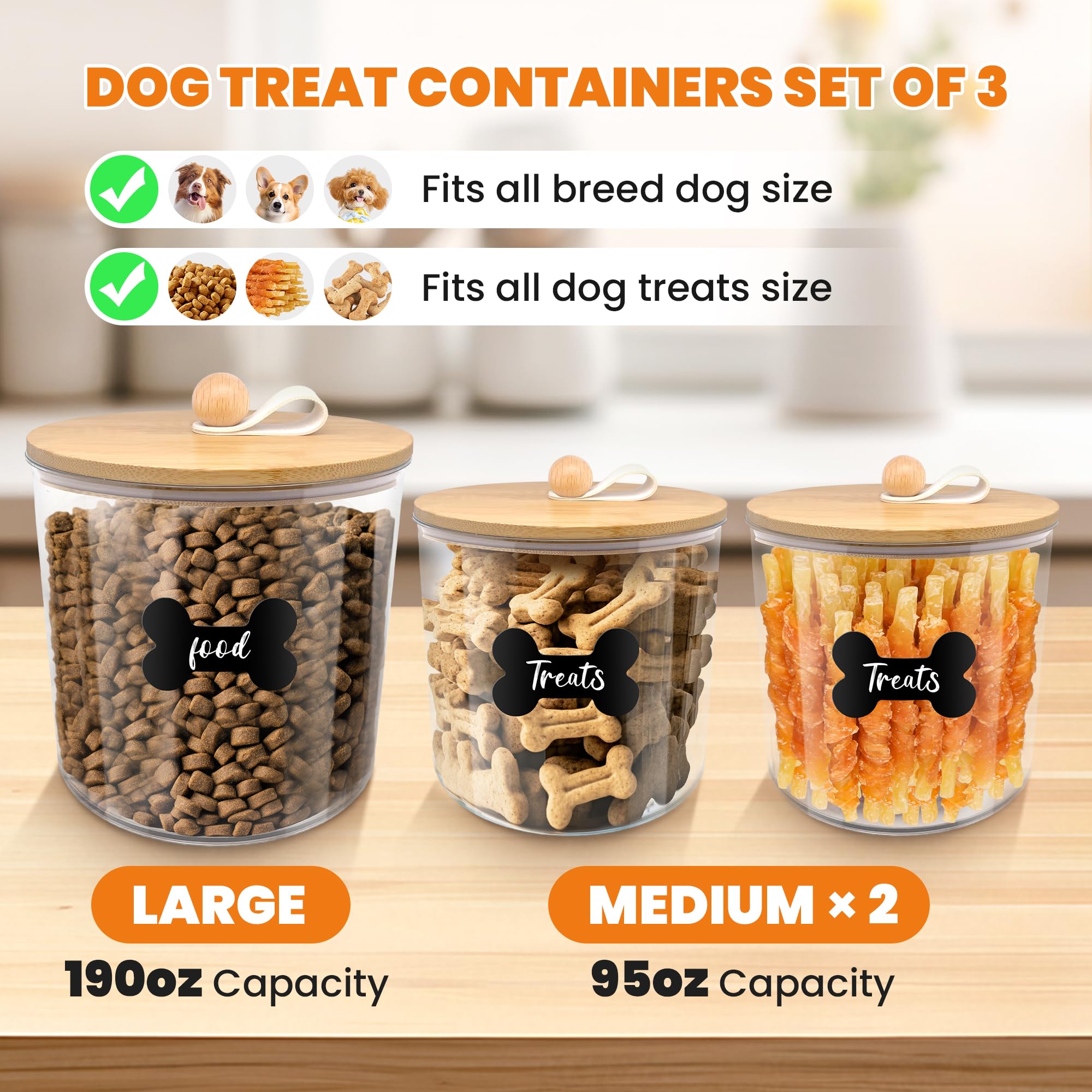 HOYTAMDAR clear container shows remaining capacity at a glance.