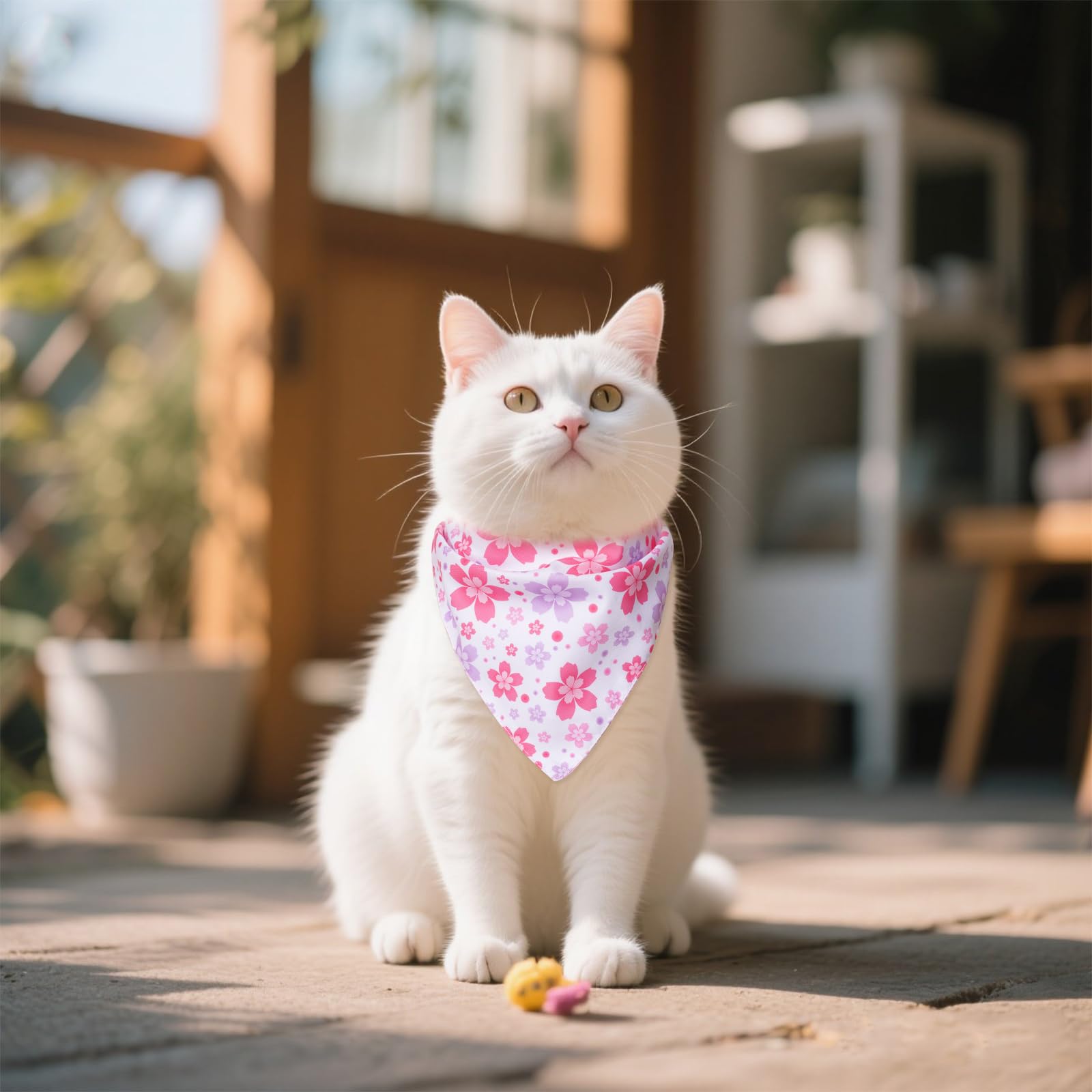 Hoyuwak daisy print close-up showcases colors and soft texture ideal for photos.