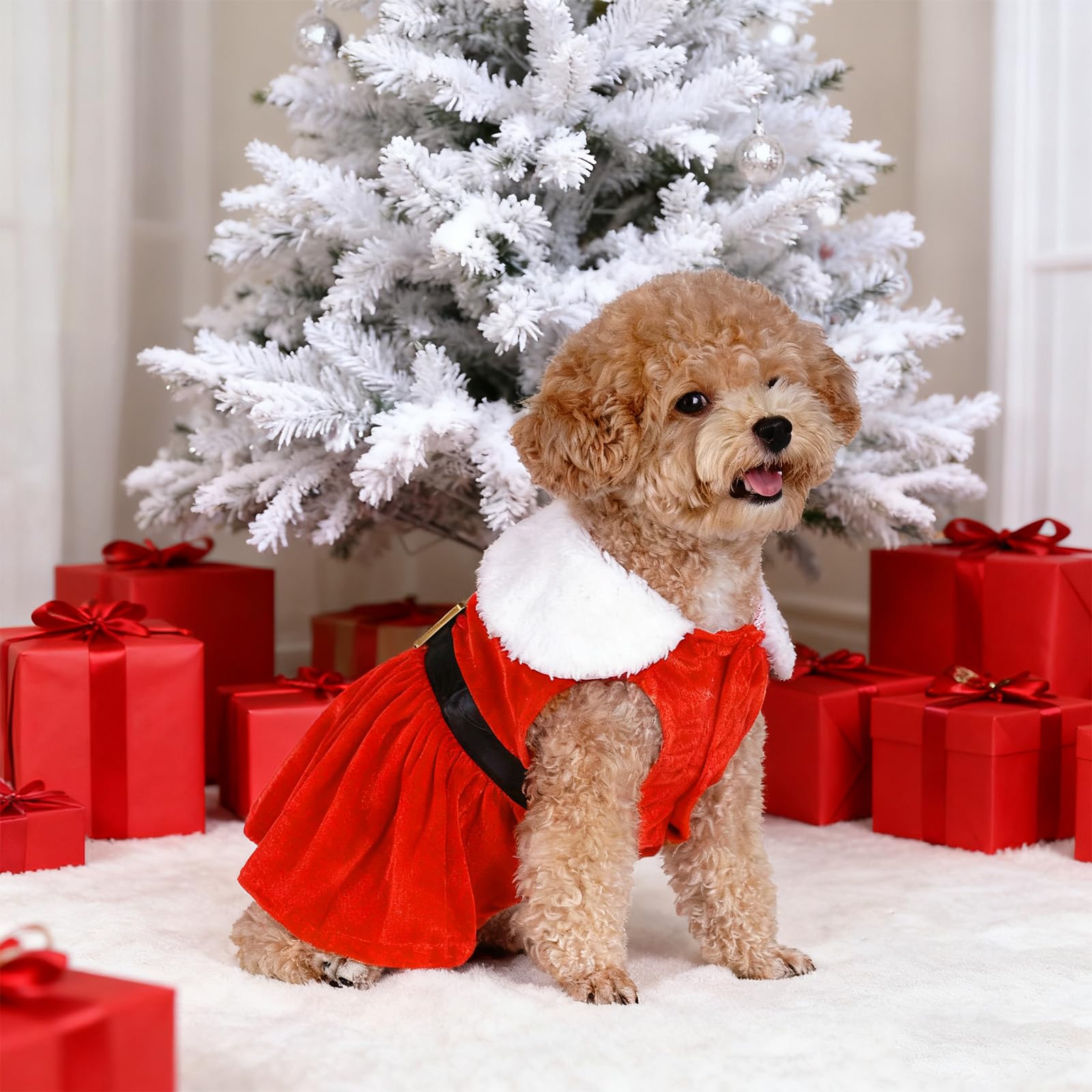 hoyuwak dog christmas dress santa red velvet on-dog wearing ideal for holidays and photos.