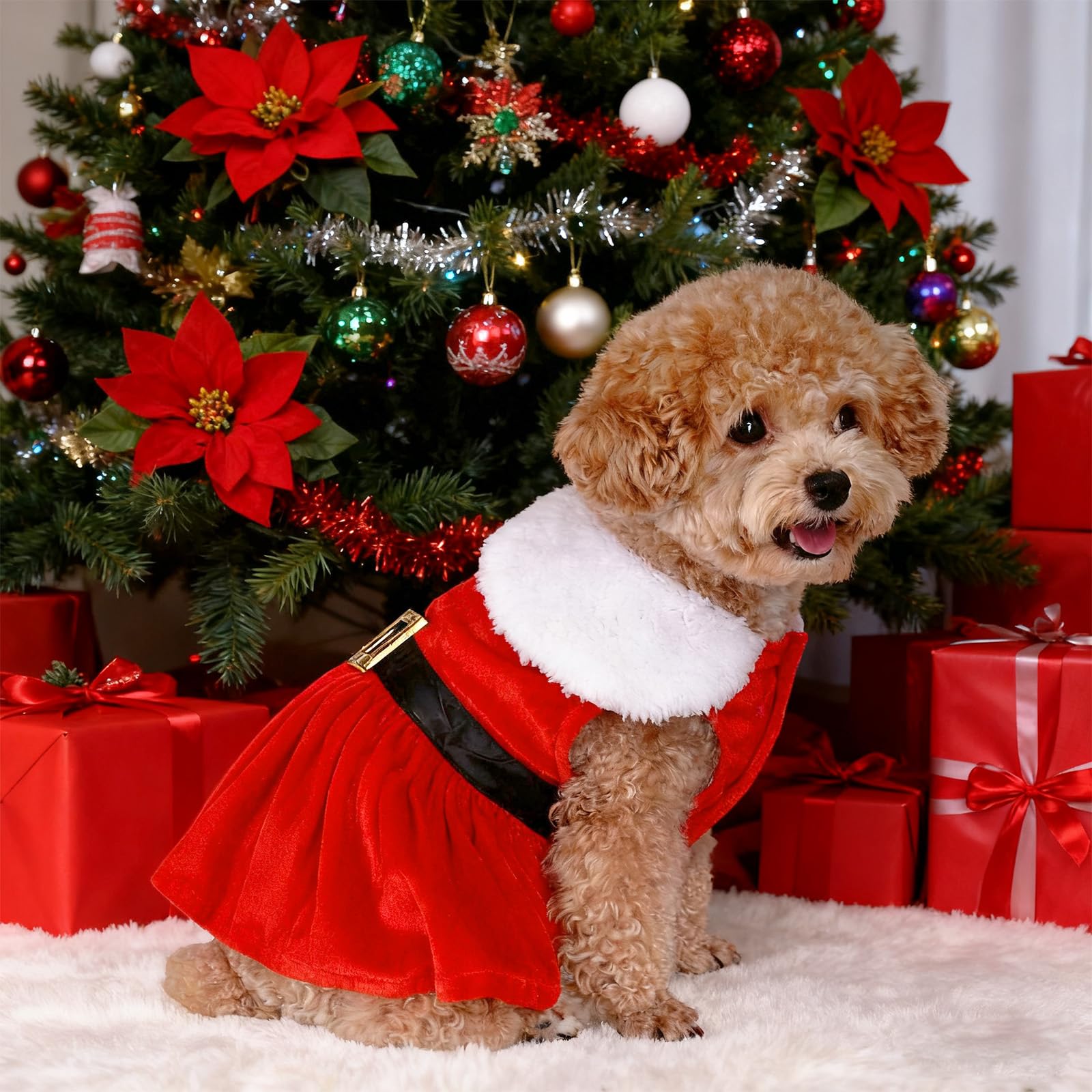 hoyuwak dog christmas dress santa red velvet package gift-ready presentation.