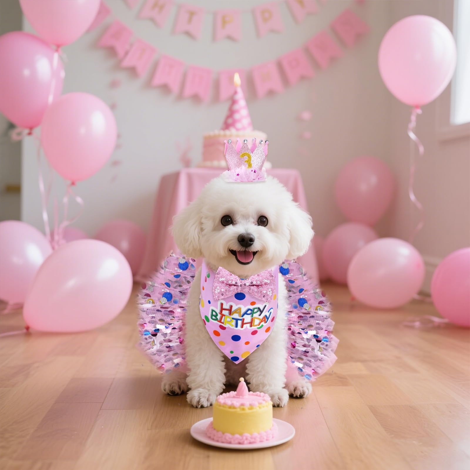 hoyuwak pet party photos showcasing coordinated outfit and joy