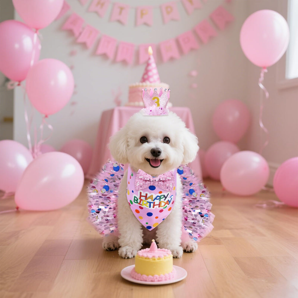 hoyuwak pet party photos showcasing coordinated outfit and joy