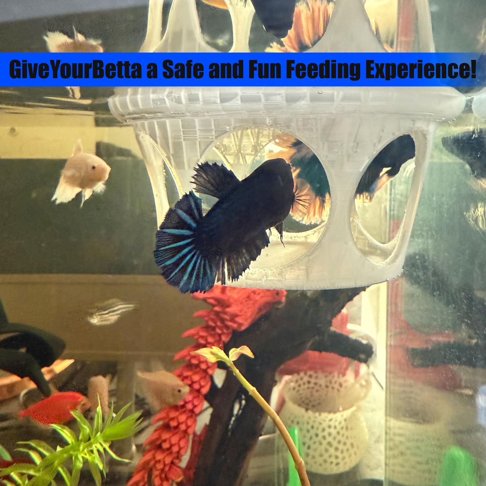 HOZOe 3D-printed aquarium decor complements modern tanks