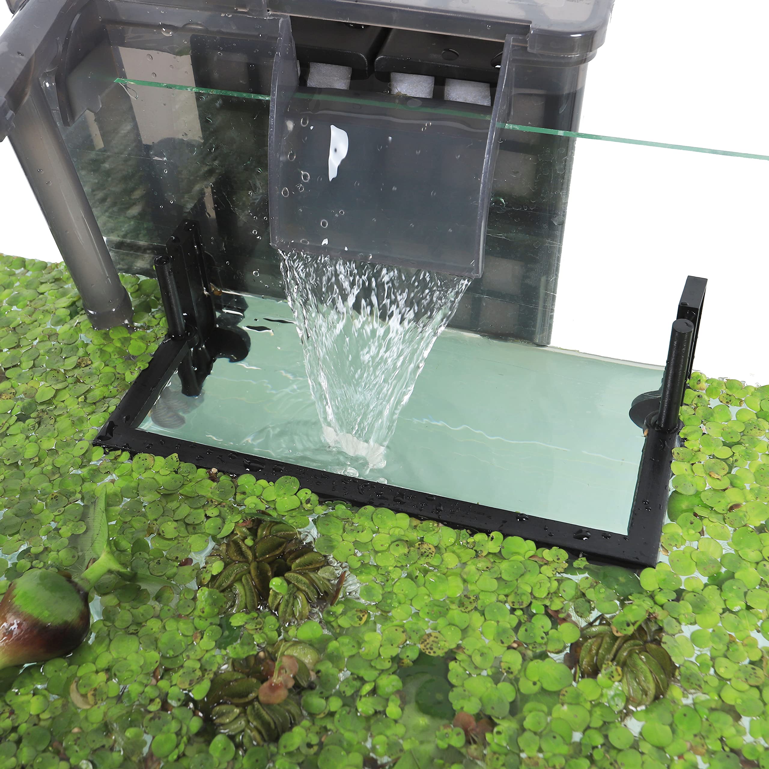 HOZOE Aquarium Floating Plant Corral protective-fence detail keeps floating plants from being washed away.