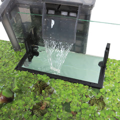 HOZOE Aquarium Floating Plant Corral protective-fence detail keeps floating plants from being washed away.