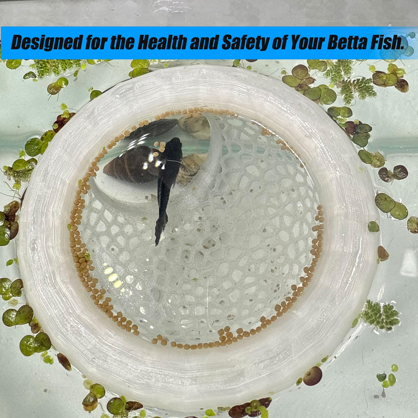 HOZOE betta feeder and cave setup concentrates floating food for bettas