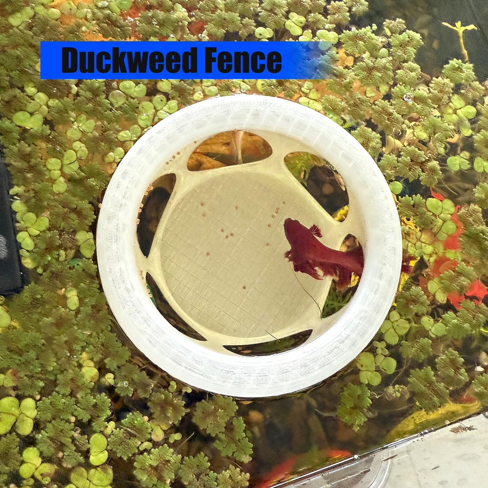 HOZOe floating betta hideaway with built-in feeder in use