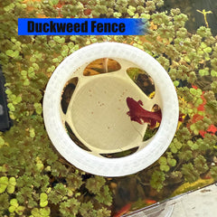 HOZOe floating betta hideaway with built-in feeder in use