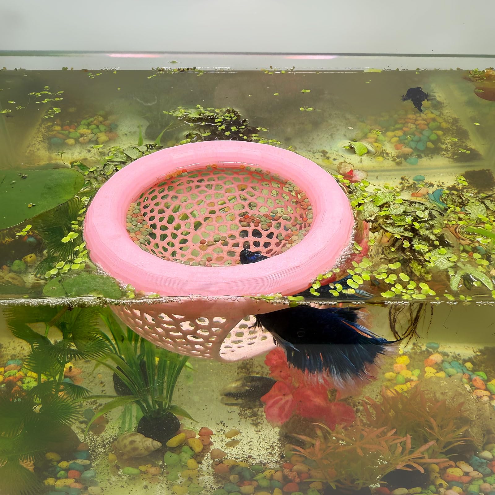HOZOE pink floating cave offers a secure hideaway for Bettas and shrimp.