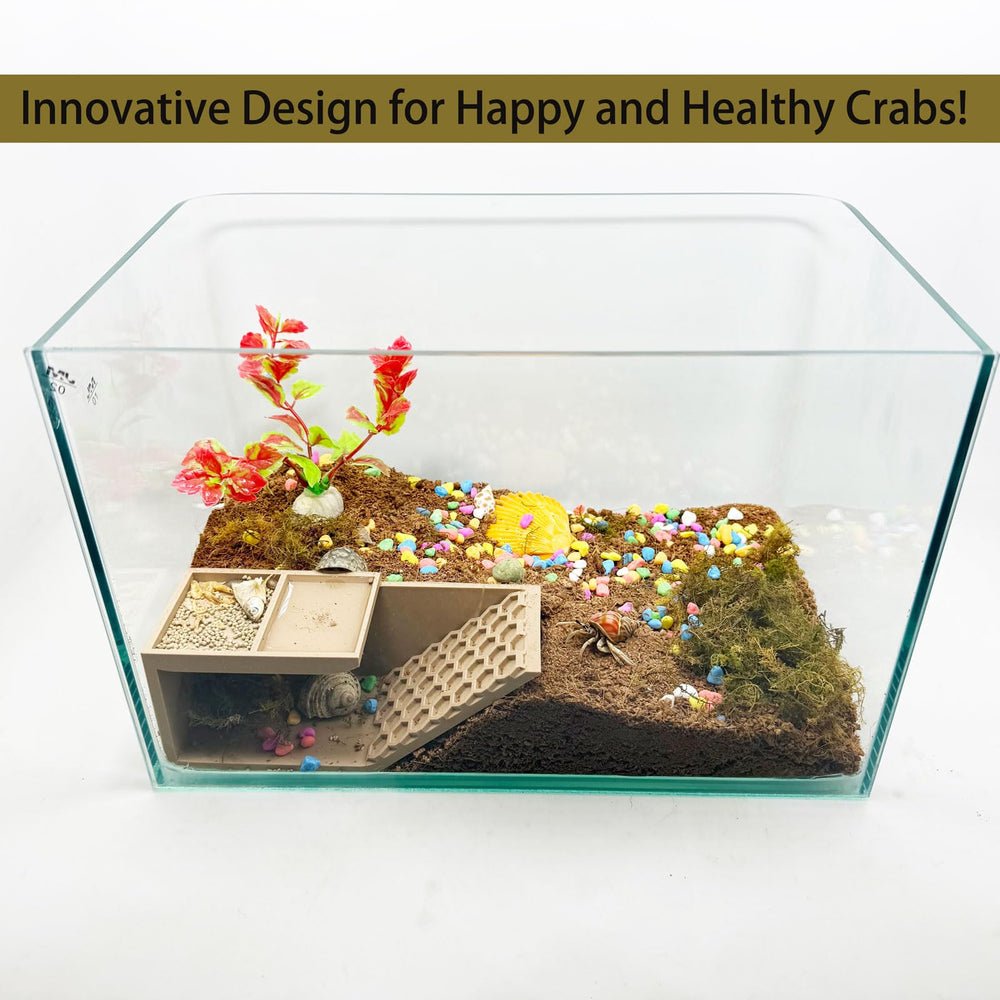 HOZOE Hermit Crab Hideaway interior tunnels for safe hiding.