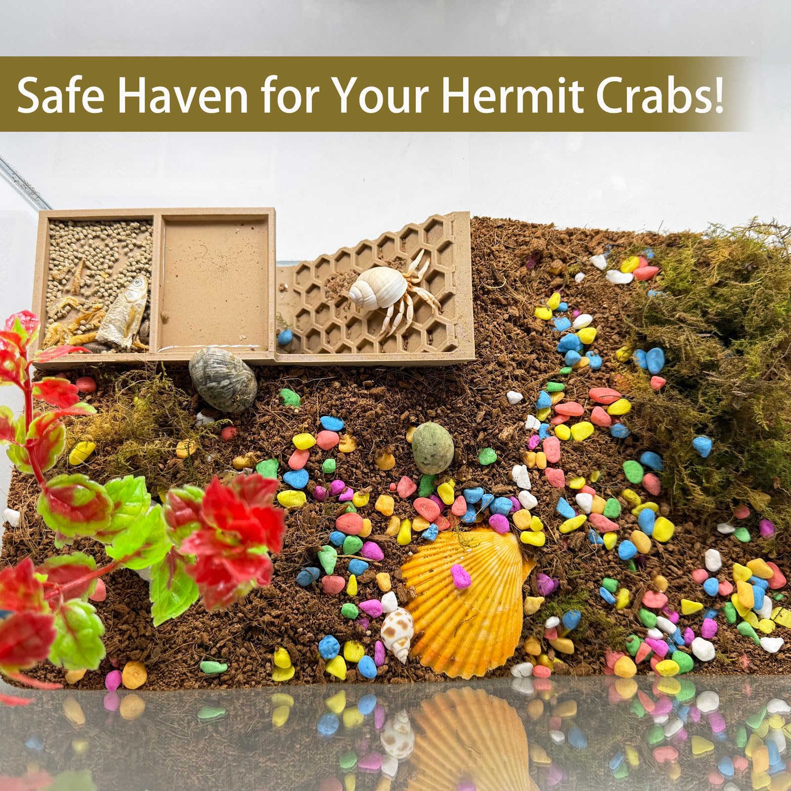 HOZOE Hermit Crab Hideaway PLA material for pet safety.