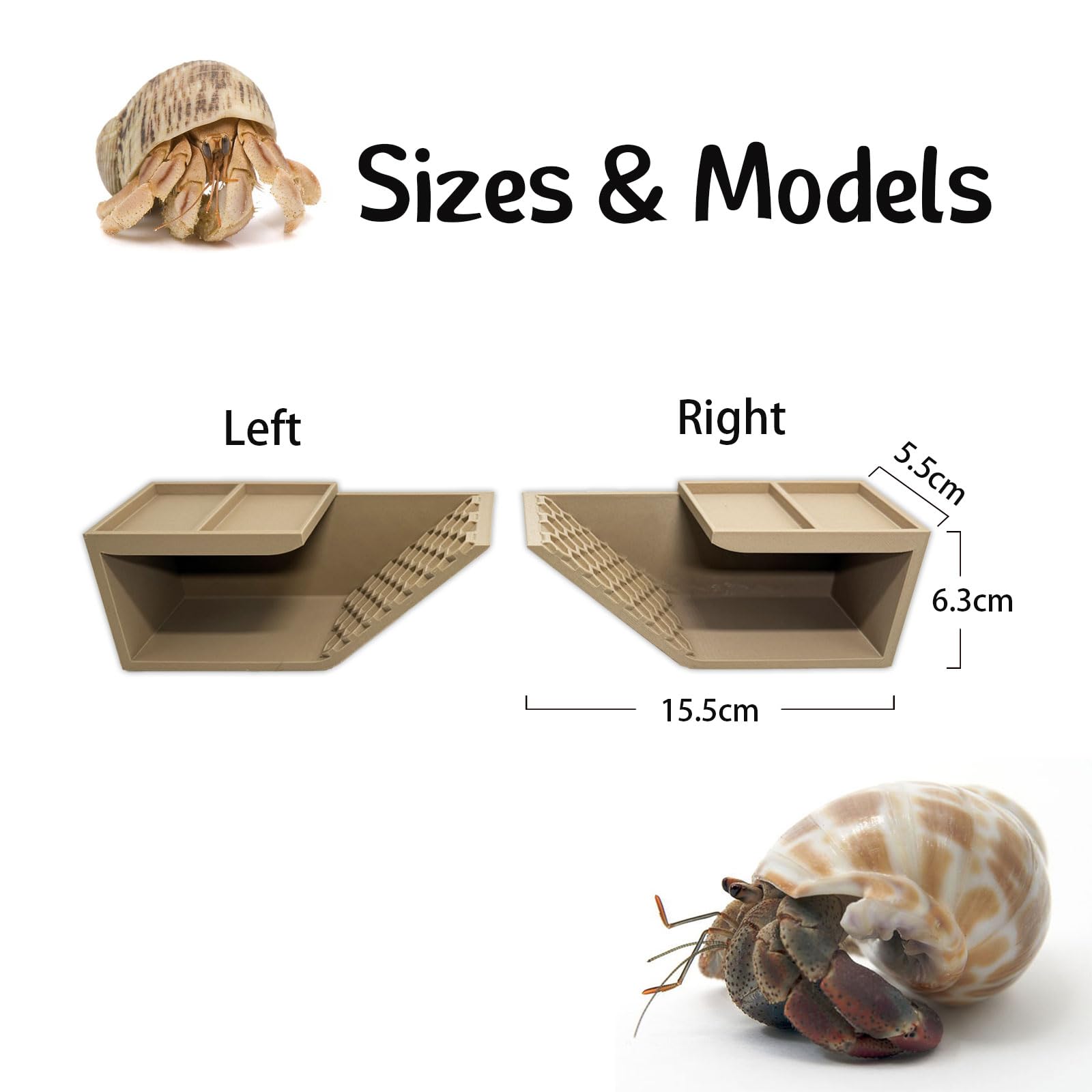 HOZOE Hermit Crab Hideaway side openings for easy observation.