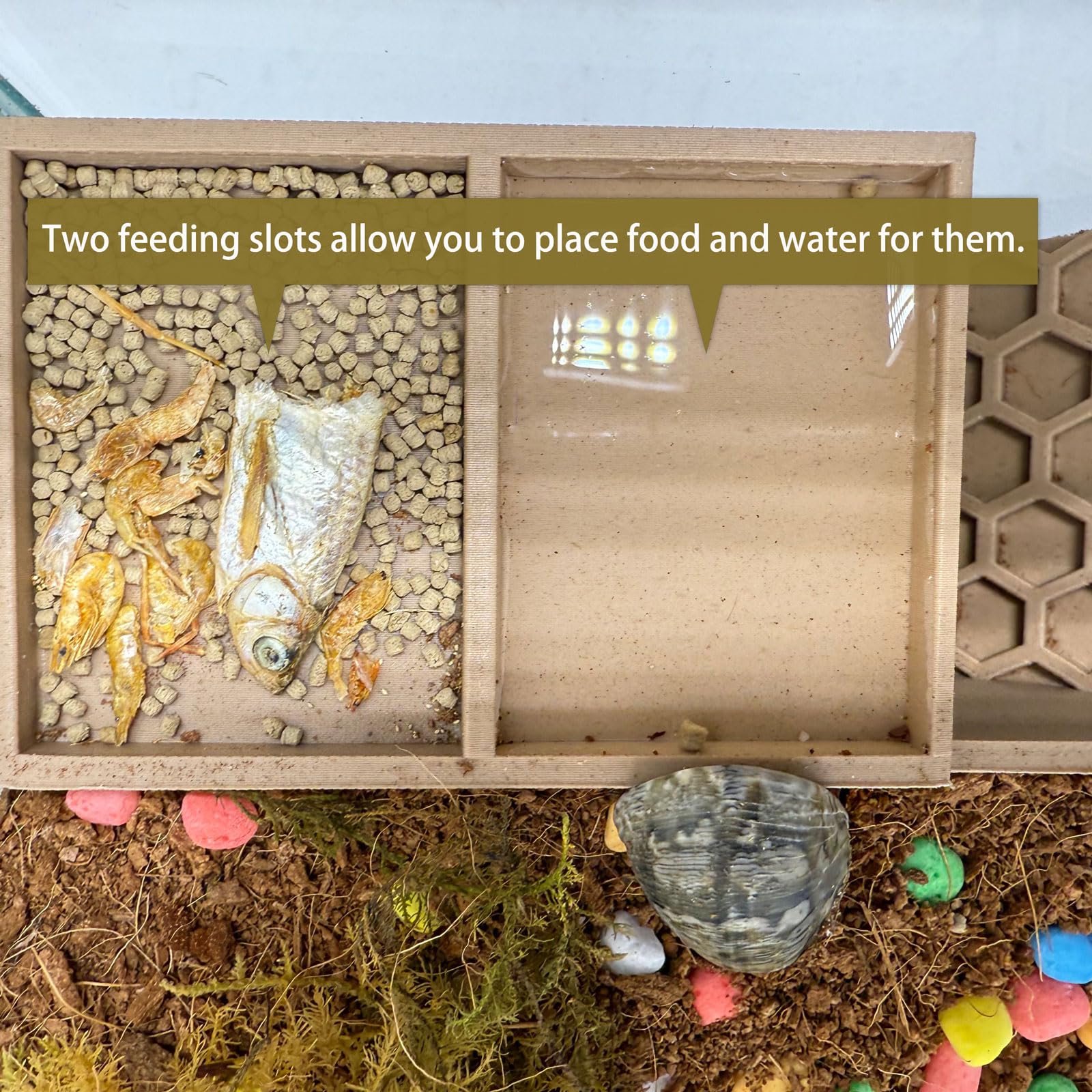 HOZOE Hermit Crab Hideaway top feeding area for meals.