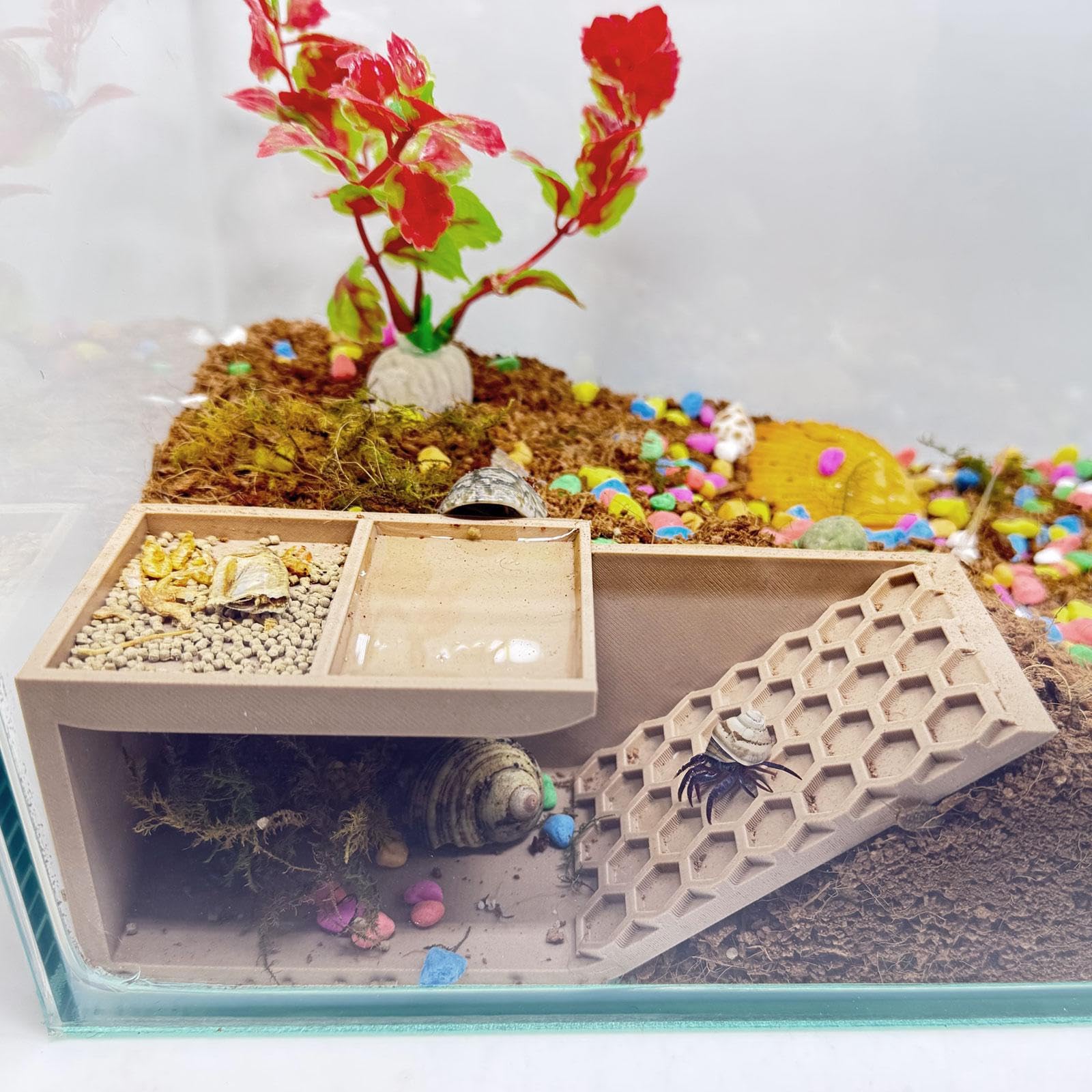 HOZOE Hermit Crab Hideaway exterior in wood color offers secure shelter.