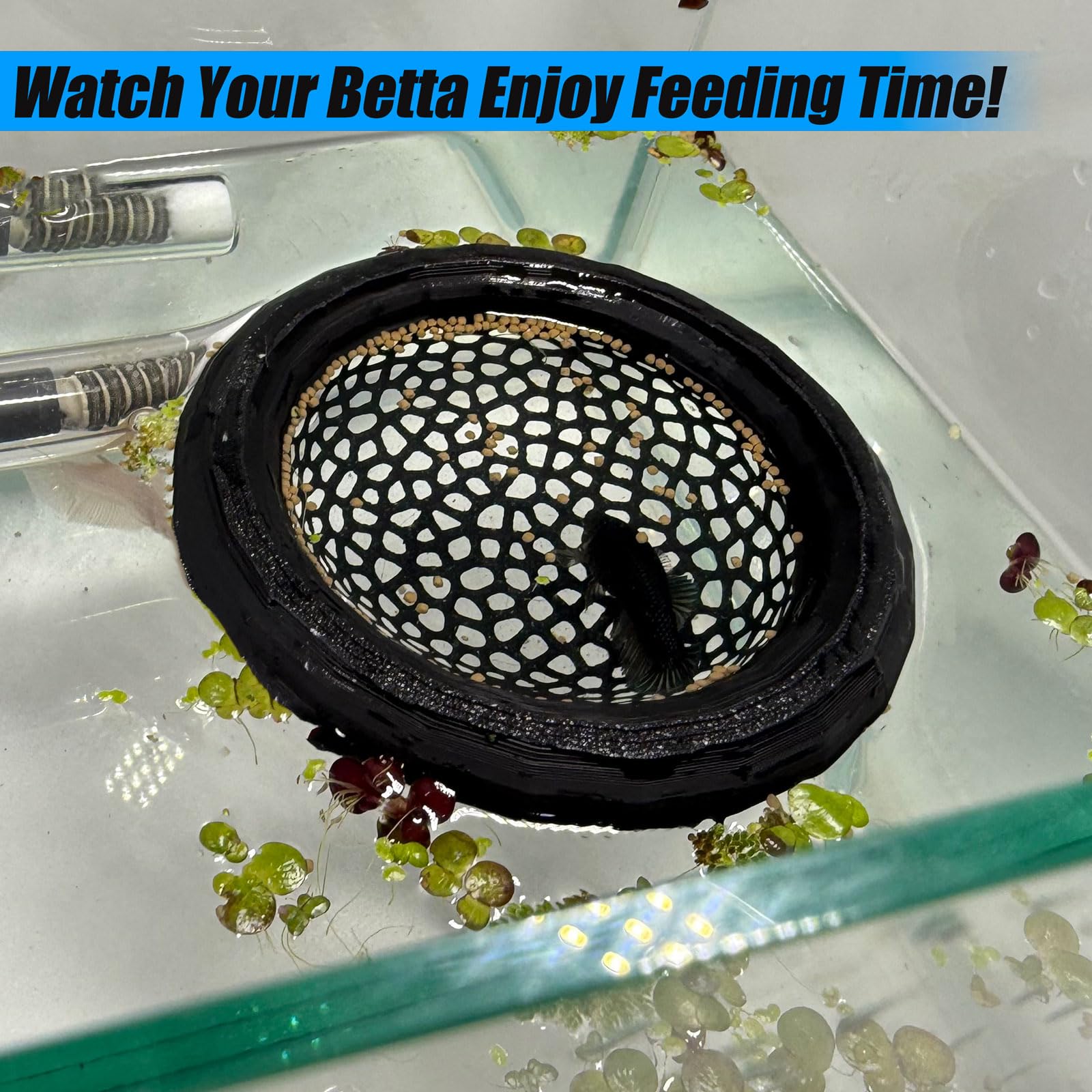 HOZOE PLA-safe pink accessory for Bettas and shrimp preserves water quality.