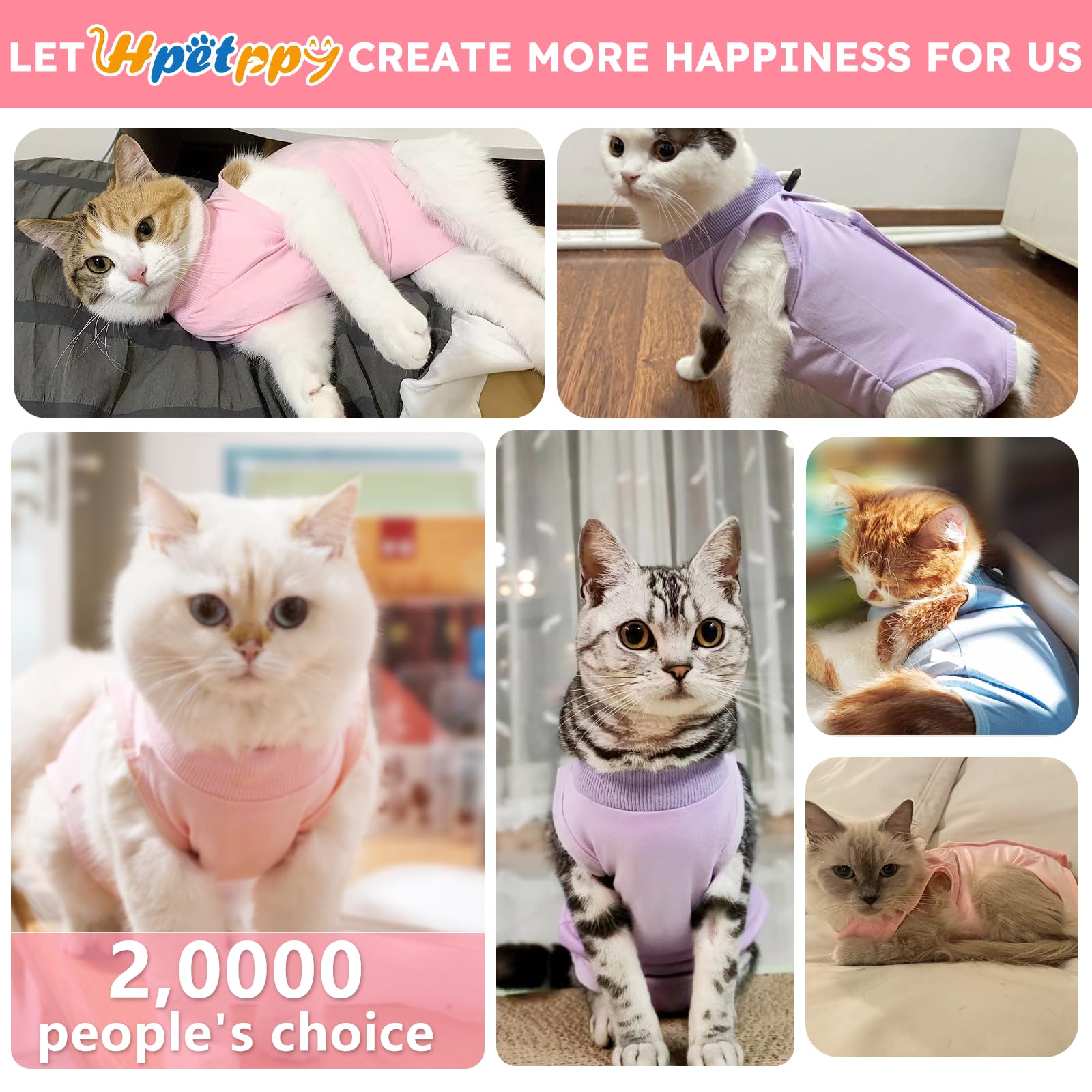 Hpetppy cat recovery suit back-velcro shows quick size adjustment.