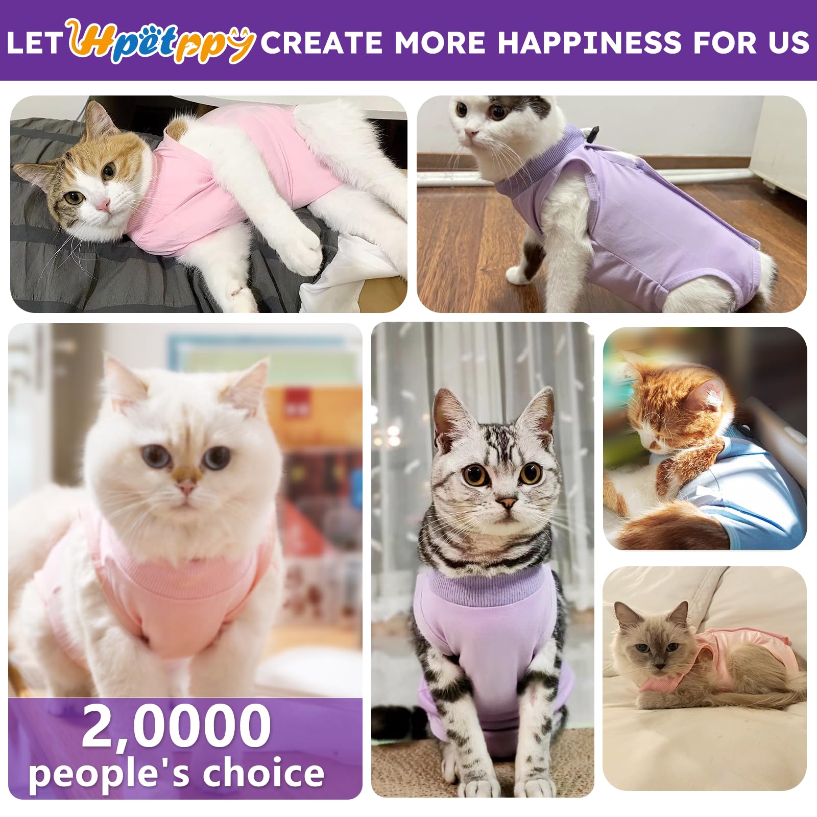 Hpetppy full-body-coverage view highlights barrier against licking and scratching after surgery.