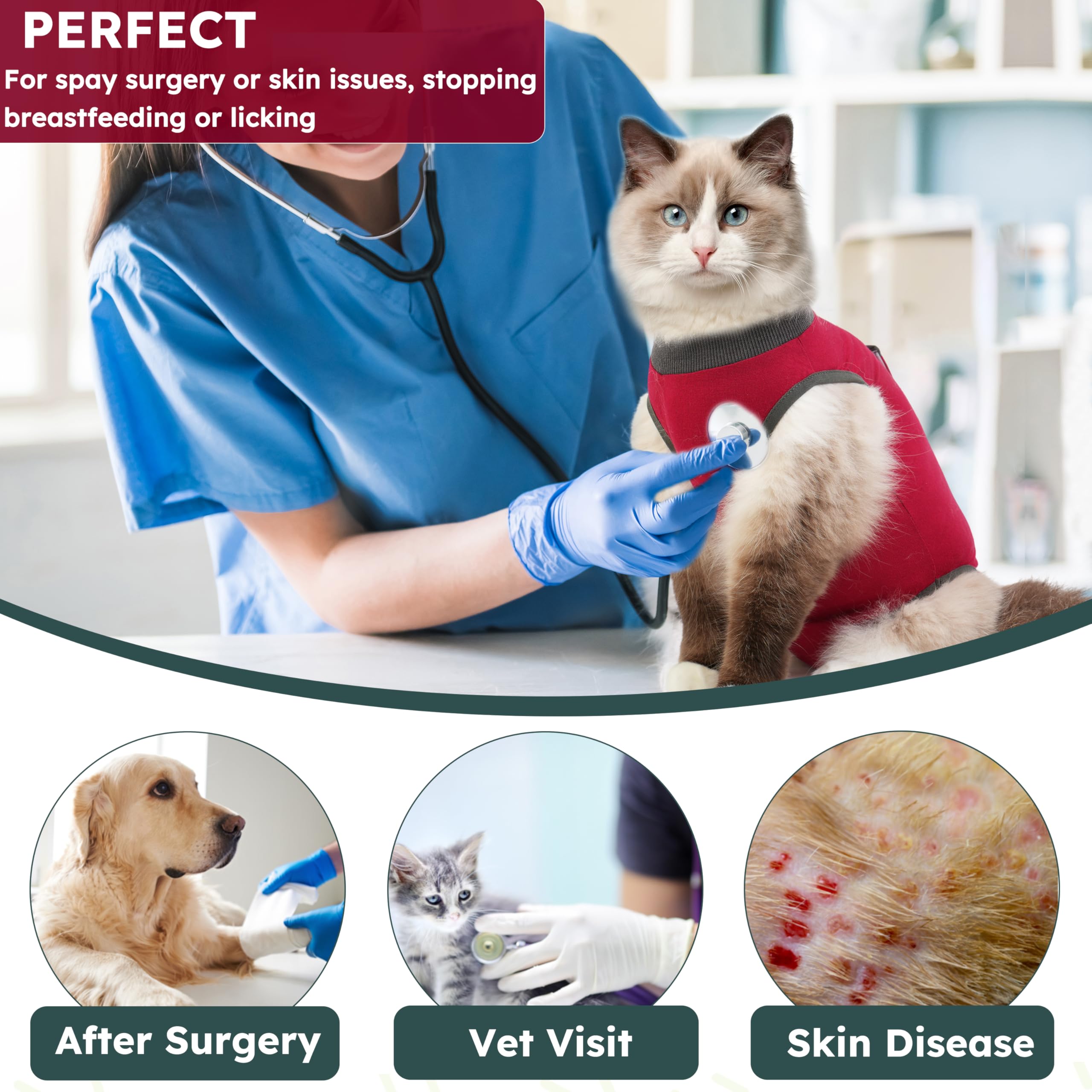 Hpetppy breathable garment protects wounds while your cat eats and plays.