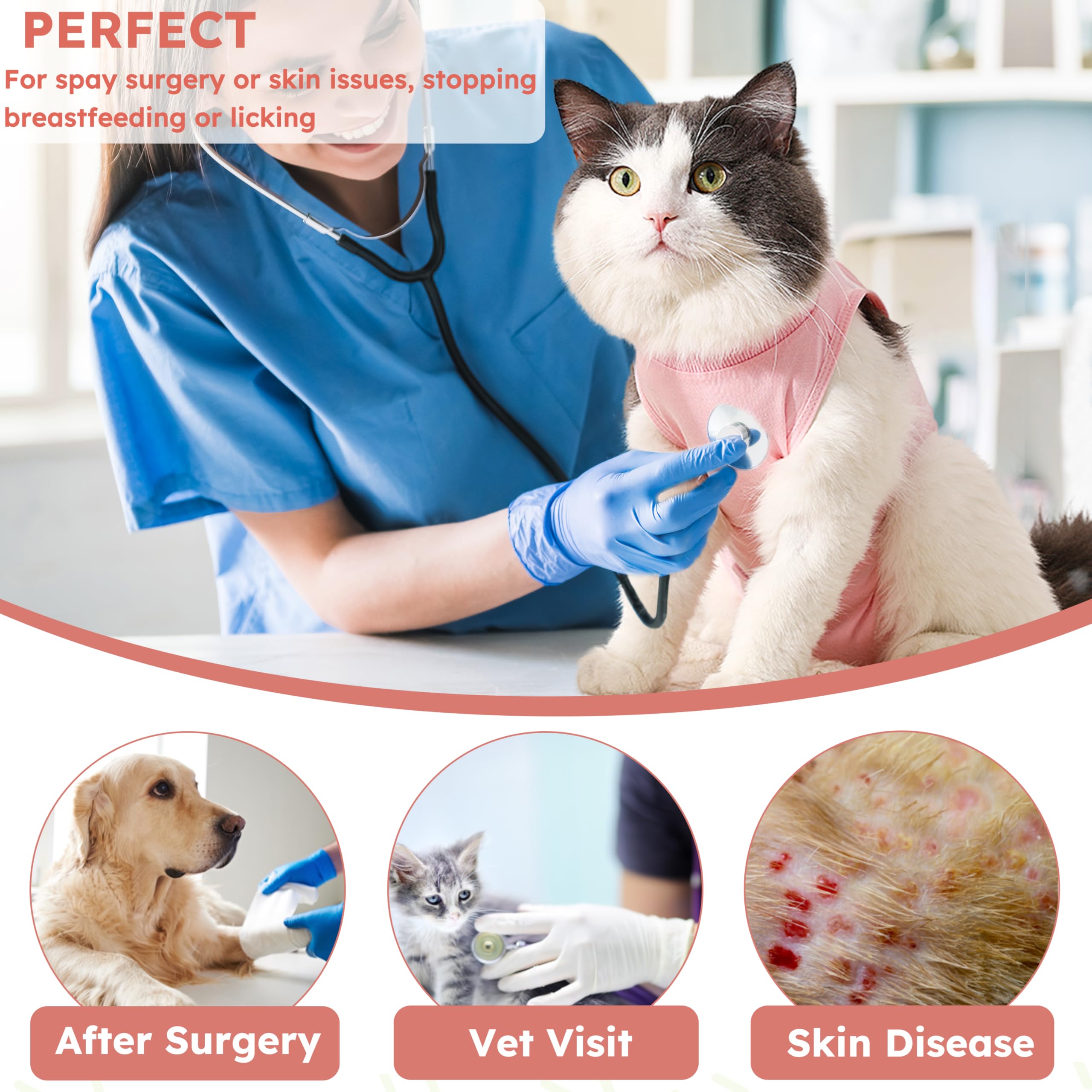 Cat wearing Hpetppy recovery suit to illustrate comfortable recovery