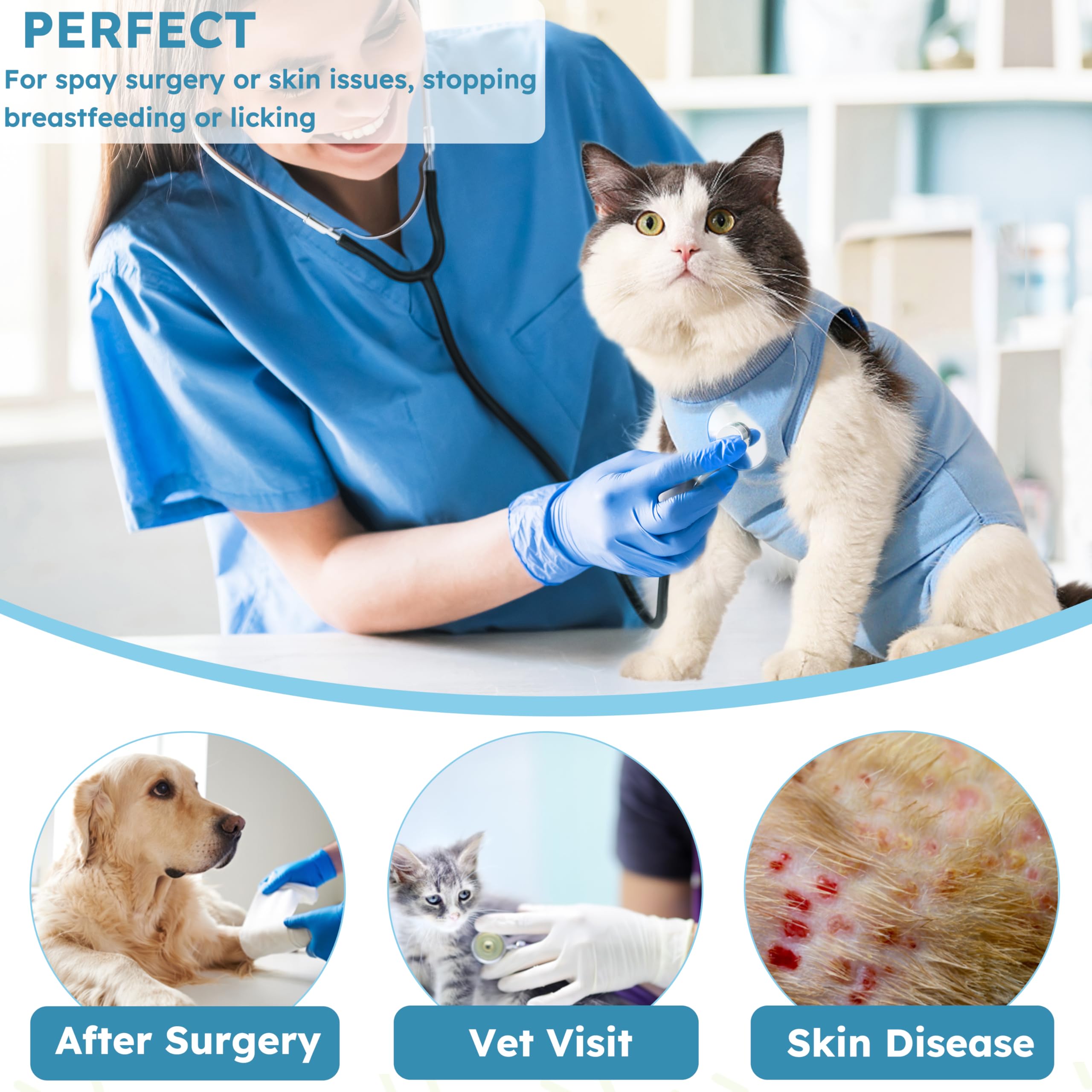 Hpetppy recovery suit in use around the litter box to manage post-op needs.