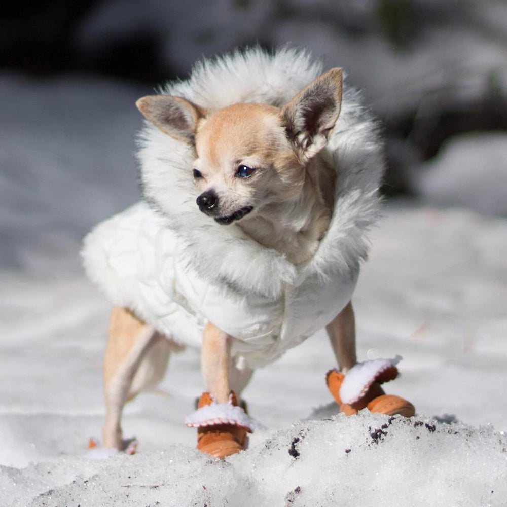 HPWFHPLF dog boots small dogs winter use brown size1 for tiny breeds
