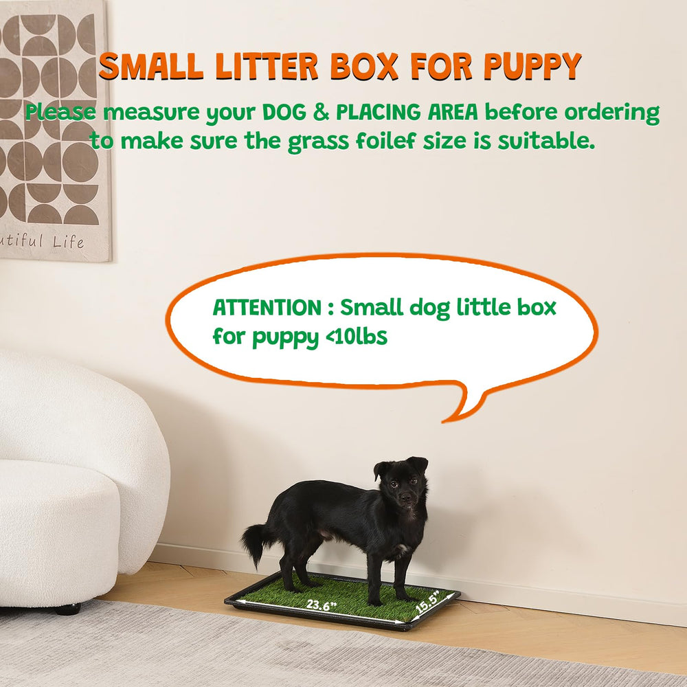 HQ4US 4LEGS training tip image demonstrates simple setup for puppies.