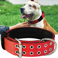 HQSHNY red large dog collar closeup shows rugged nylon for heavy-pullers