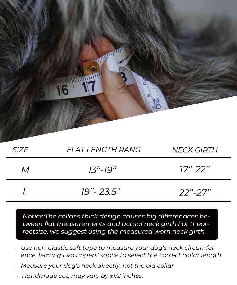 HQSHNY red large dog collar in action during outdoor walks for sturdy control