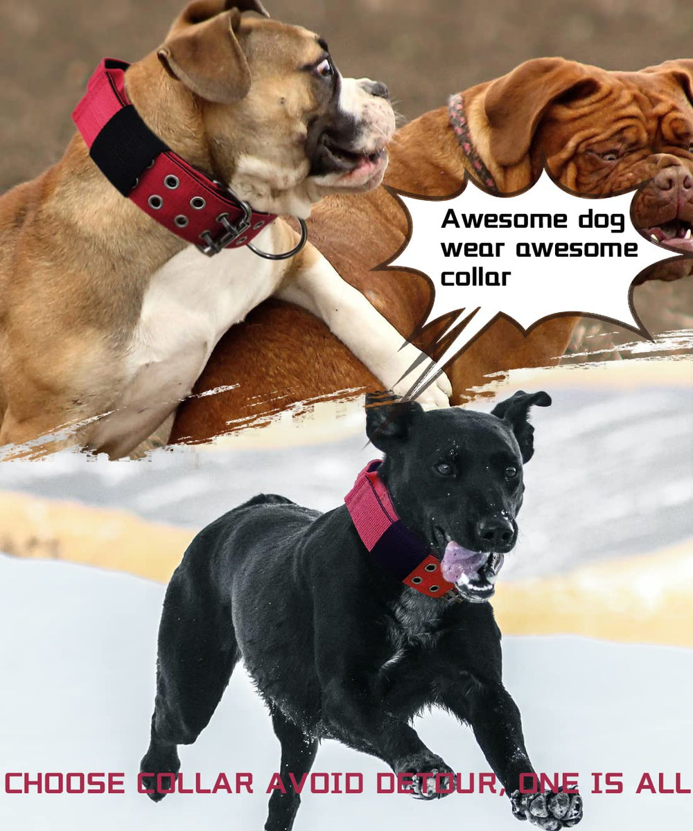 HQSHNY red large dog collar worn by dog shows even pressure distribution reducing strain on the throat