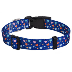 HQYDDMI dog collar Love Blue XS on dog demonstrates secure stylish daily wear