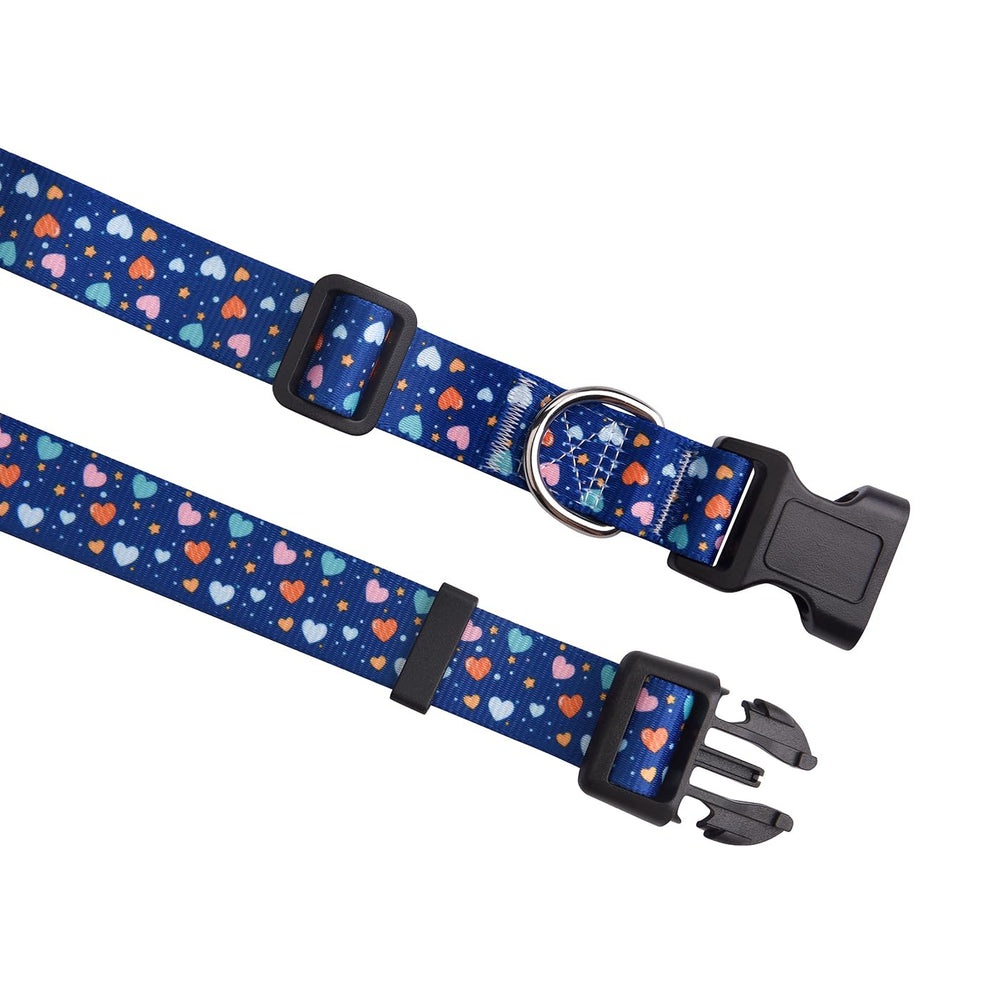 HQYDDMI dog collar Love Blue XS packaging showcasing gift-ready presentation