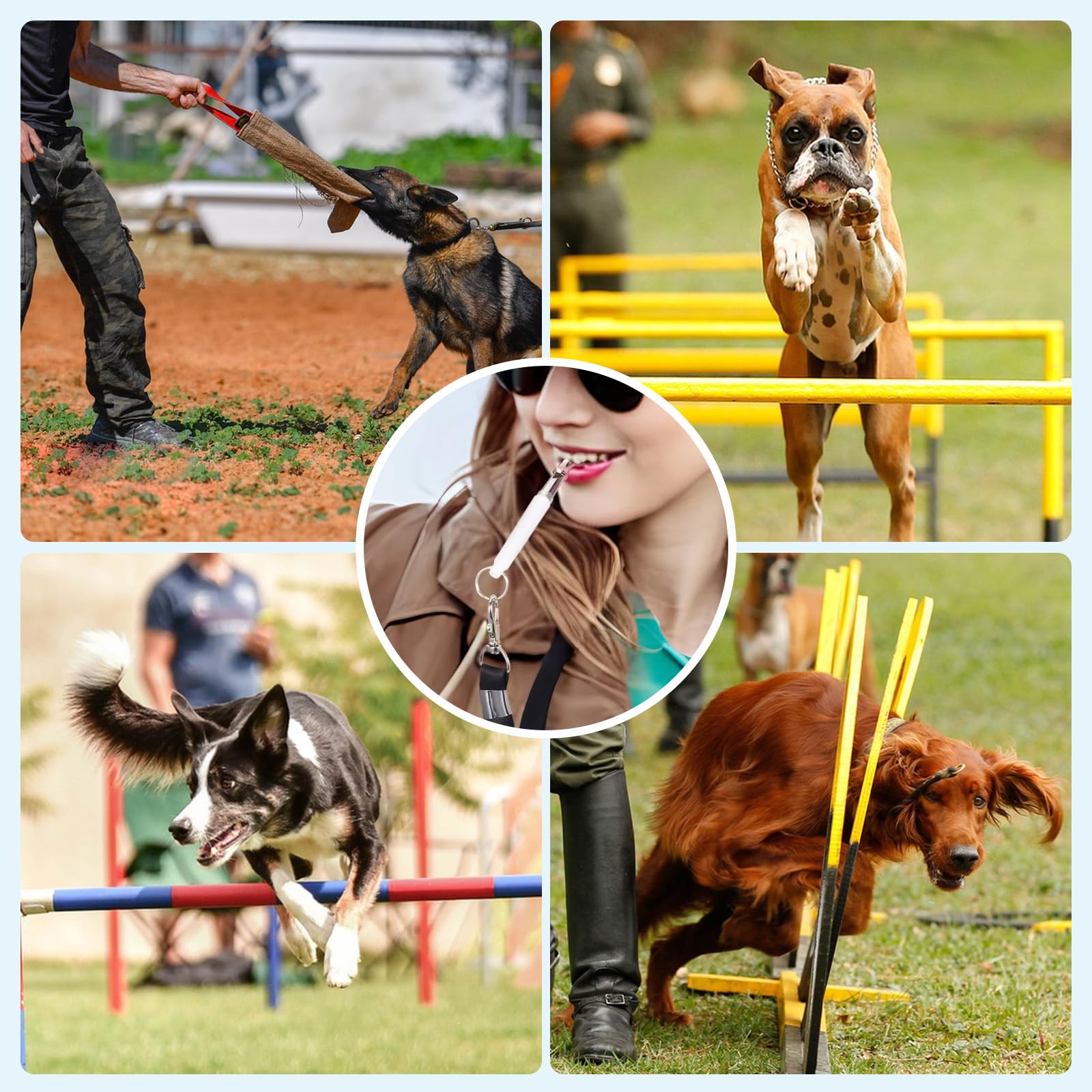 HRXMS dog whistle pack supports recall training and consistent commands.