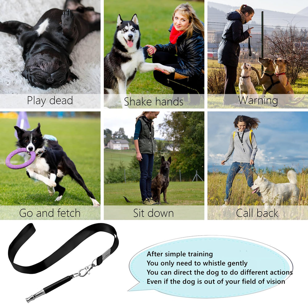 HRYYDS dog whistle with lanyard for easy carry during walks.