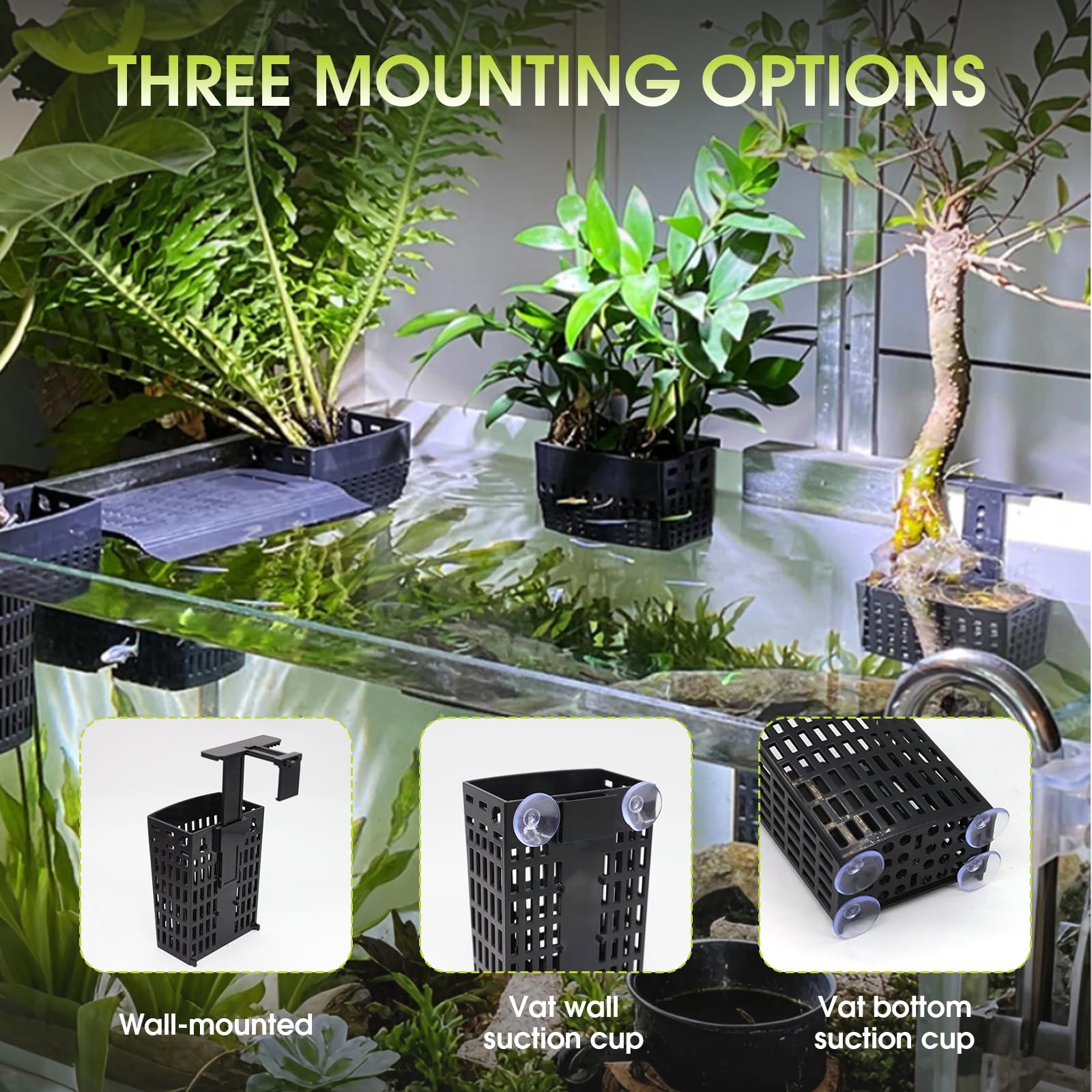 HSDJLXZ aquarium plant holder bottom suction captures stable base for rooted plants.