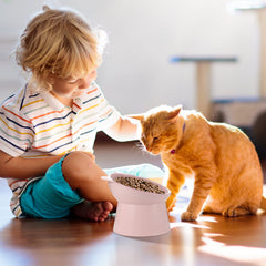 Hsei whisker-friendly wide rim bowl supports comfortable meals