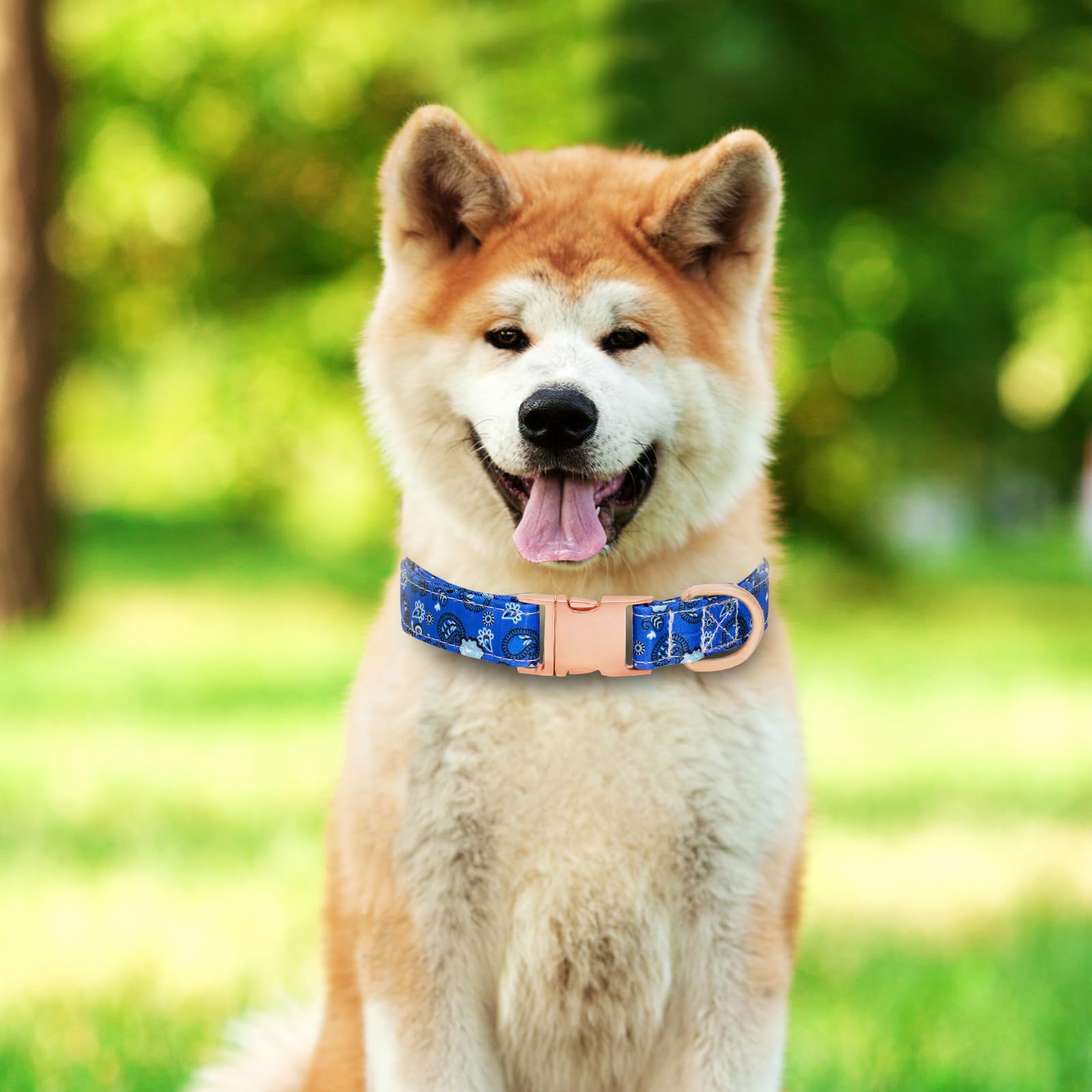HSIGIO cotton-dog-collar shows soft, breathable fabric