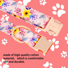 HSIGIO 5 ft leash with cushioned handle for comfortable grip during walks.