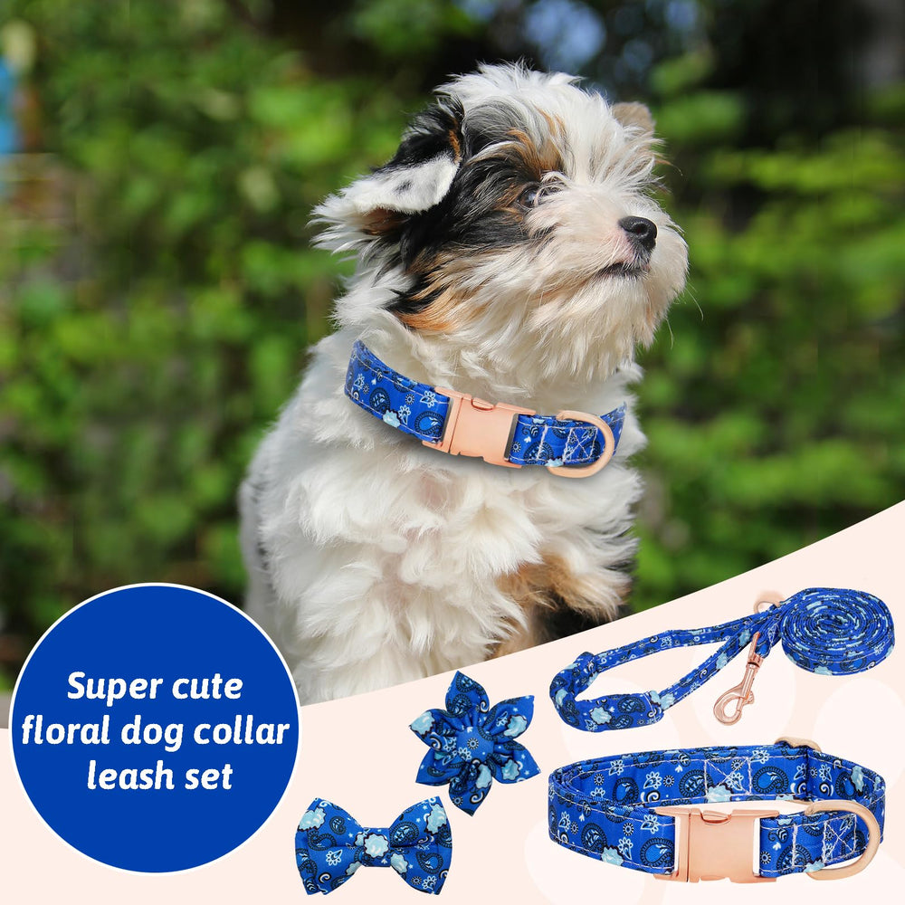 HSIGIO dog-walk-setup shows complete collar and leash bundle