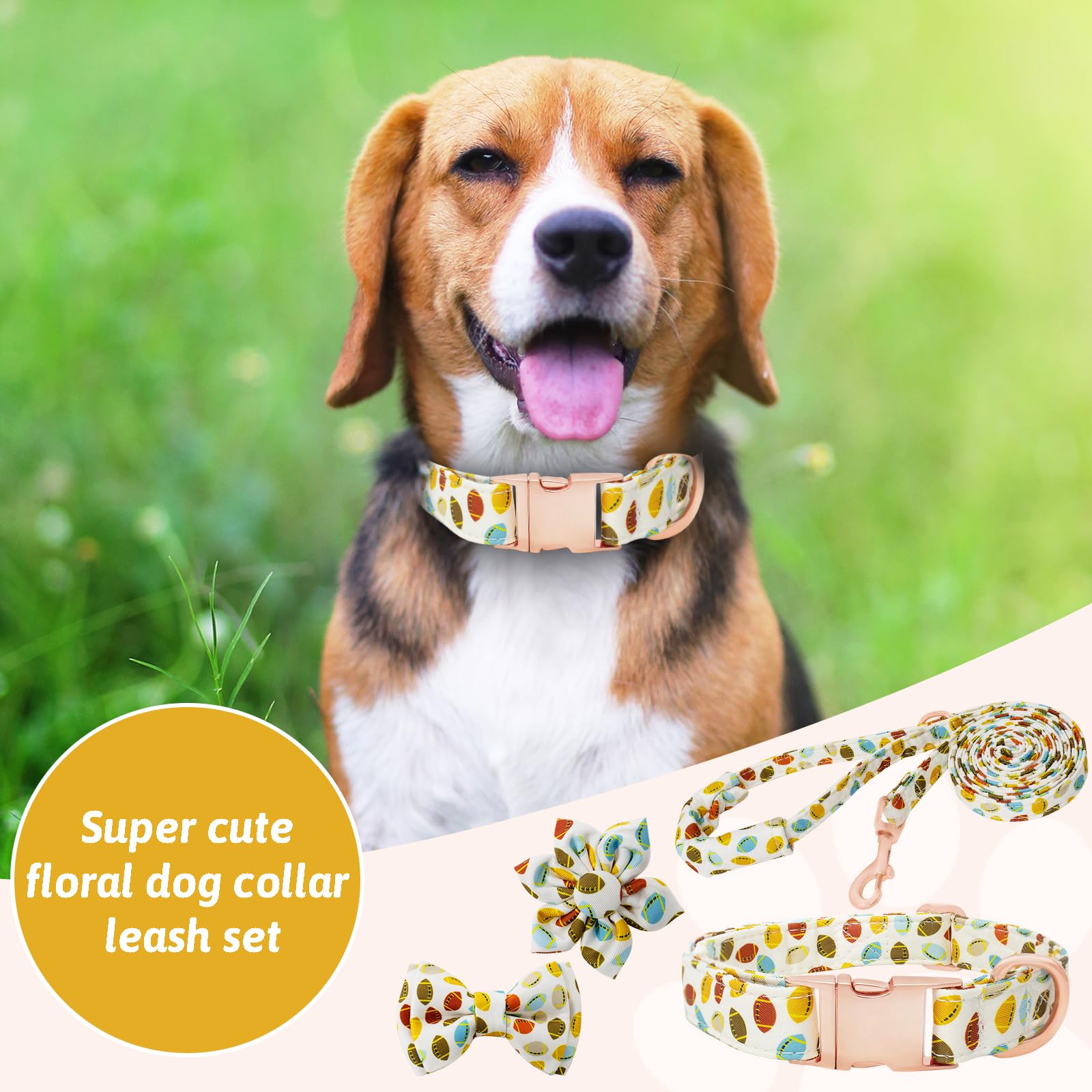 HSIGIO puppy-walk gift set makes outings feel polished and practical.